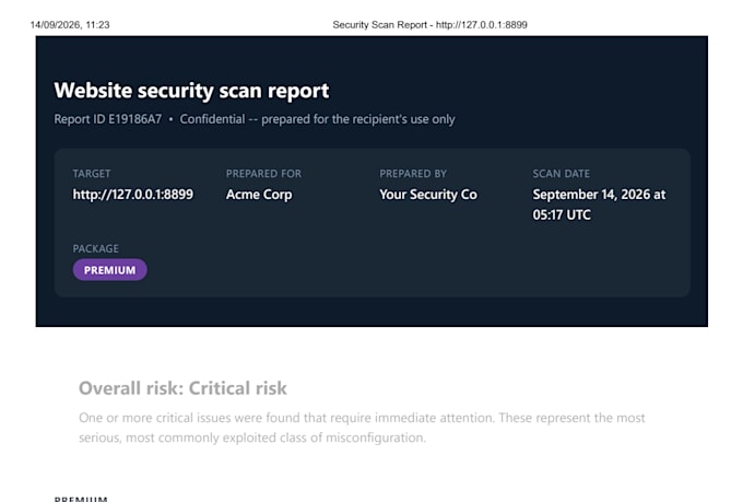 perform a basic website security vulnerability scan
